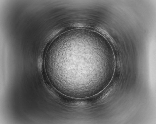 X0000093610533200710151241