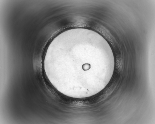 X0000093610534200710151241