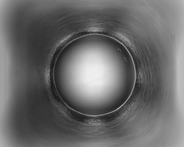 X0000093610535200710151241