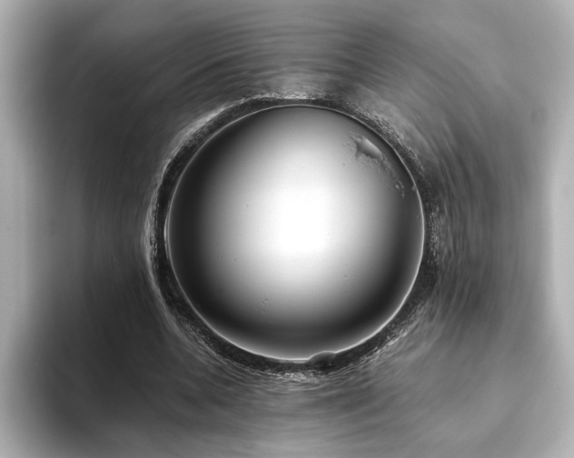 X0000093610536200710151241