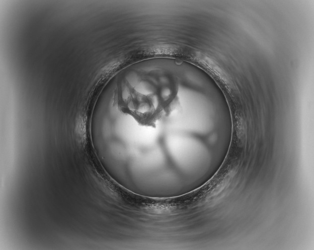 X0000093610537200710151241