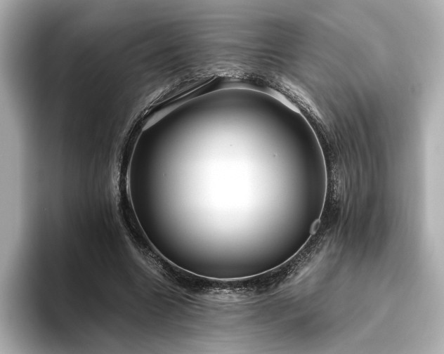 X0000093610538200710151241