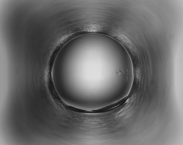 X0000093610540200710151241
