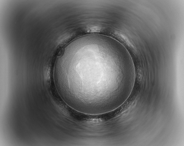 X0000093610543200710151241