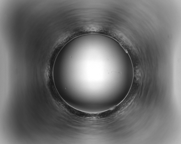 X0000093610544200710151241