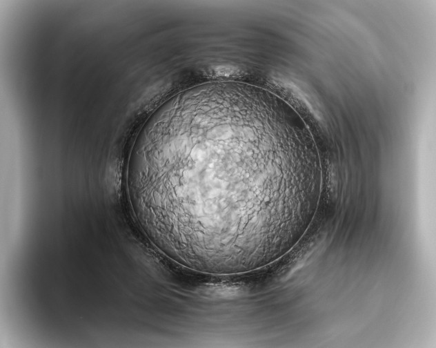 X0000093610545200710151241