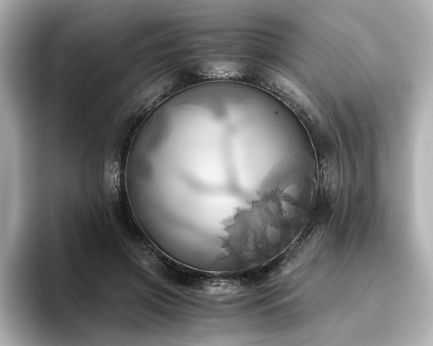 X0000093610549200710151241
