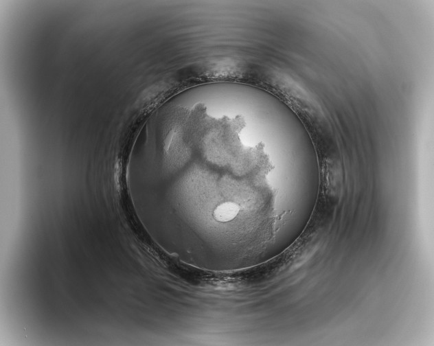 X0000093610550200710151241