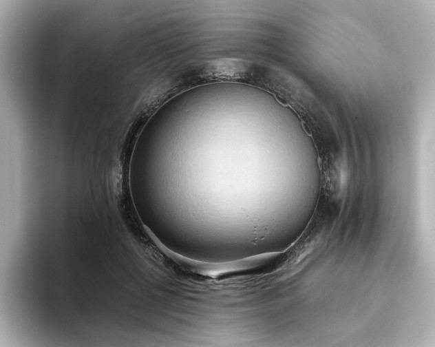 X0000093610552200710151241