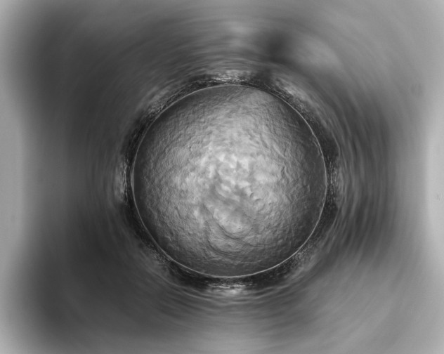 X0000093610554200710151241