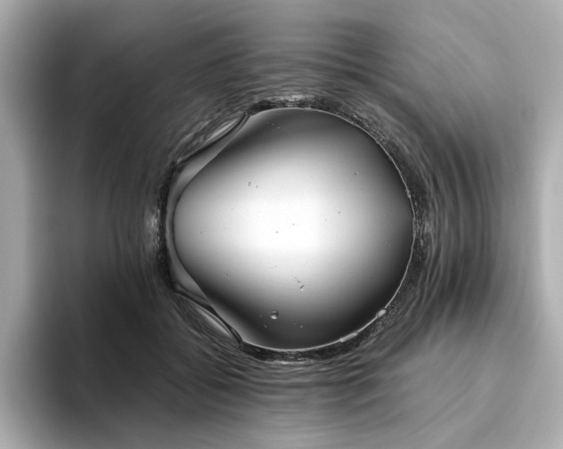 X0000093610556200710151241