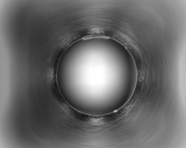 X0000093610560200710151241