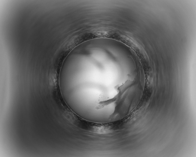 X0000093610561200710151241