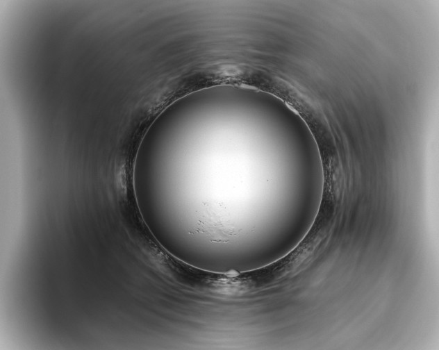 X0000093610562200710151241