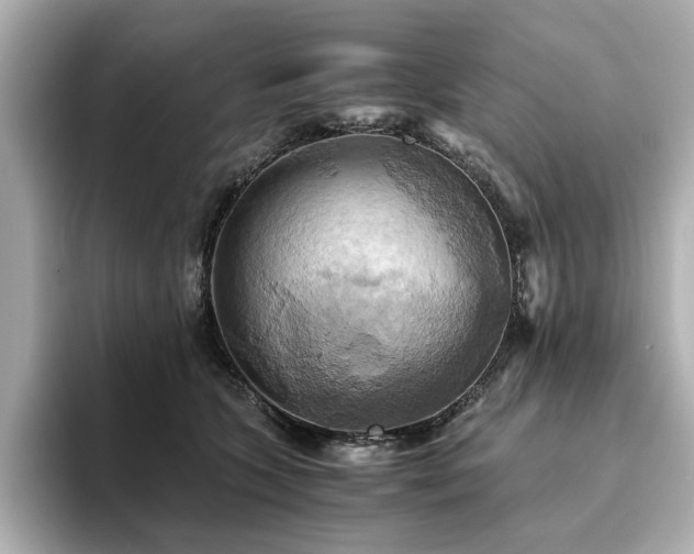 X0000093610563200710151241