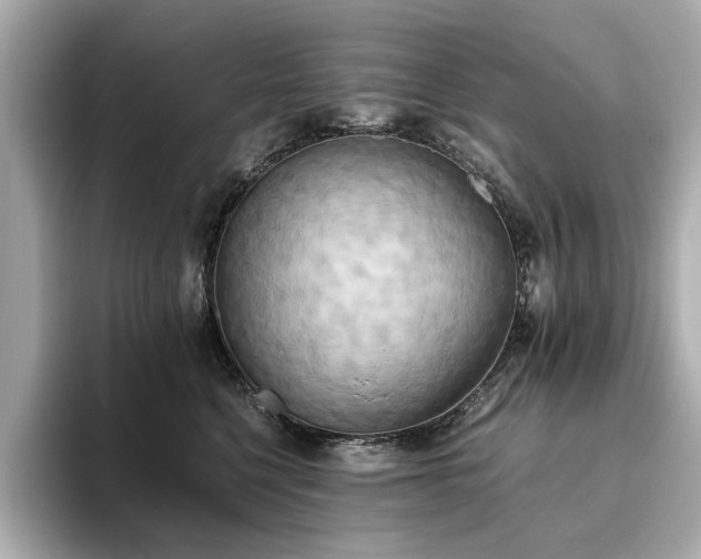 X0000093610568200710151241