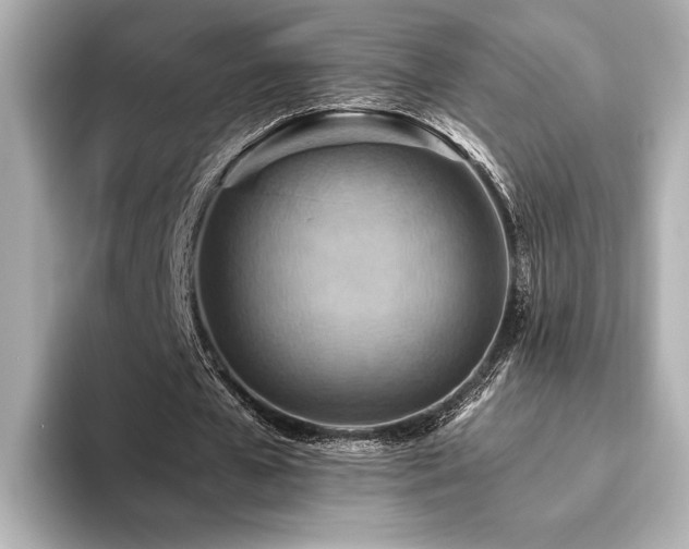 X0000093610577200710151241