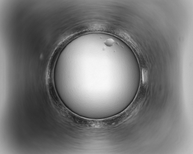 X0000093610579200710151241