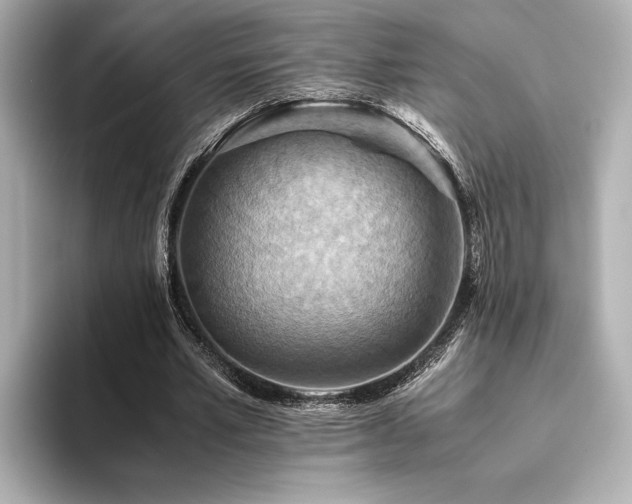 X0000093610581200710151241