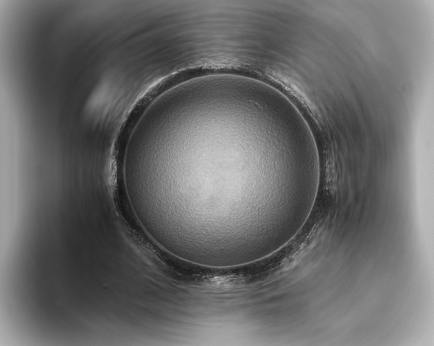 X0000093610584200710151241