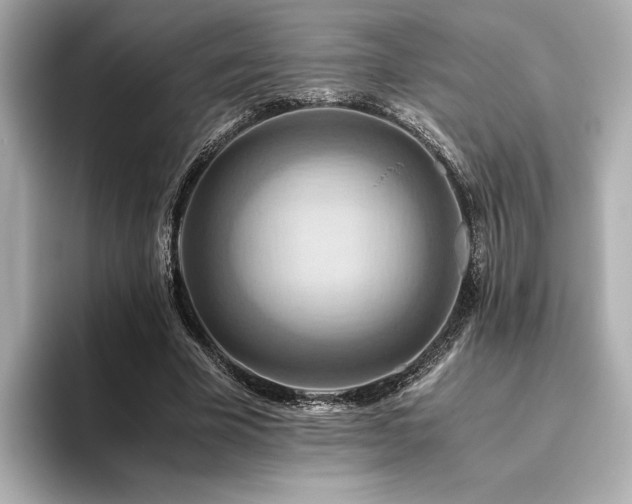 X0000093610585200710151241