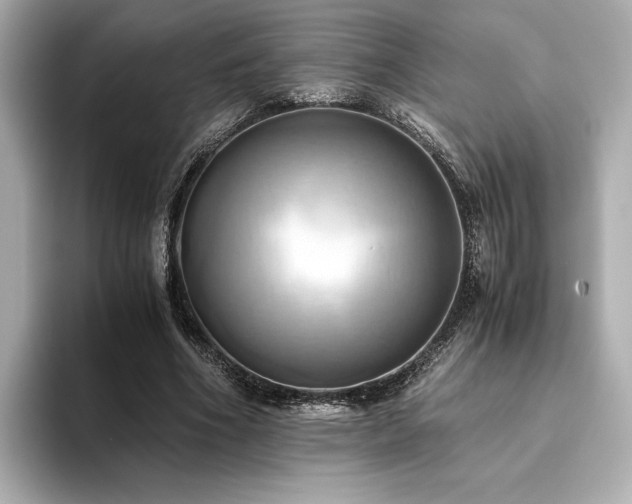 X0000093610586200710151241