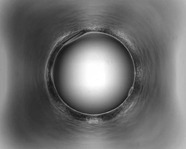 X0000093610587200710151241