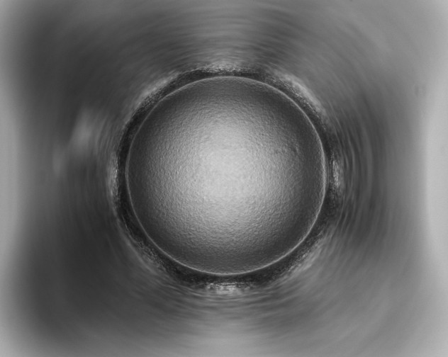 X0000093610588200710151241