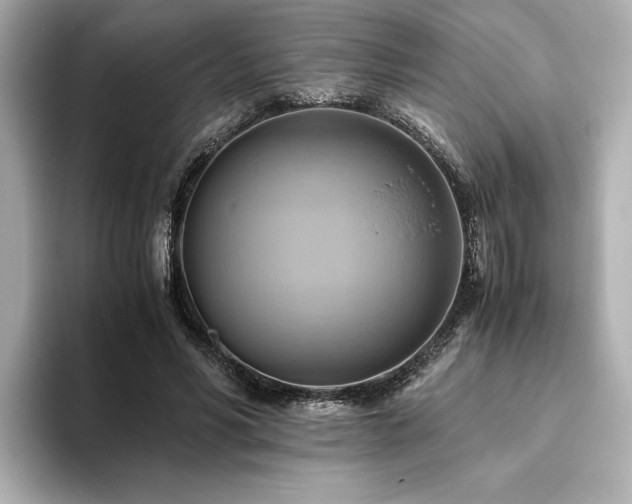 X0000093610590200710151241