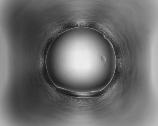 X0000093610593200710151241