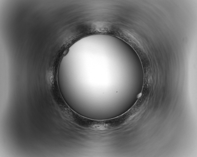X0000093610595200710151241