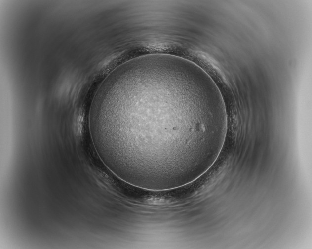 X0000093610596200710151241