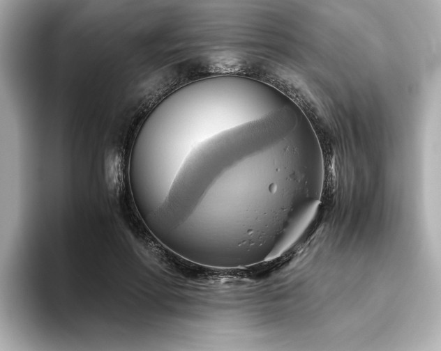 X0000093610598200710151240