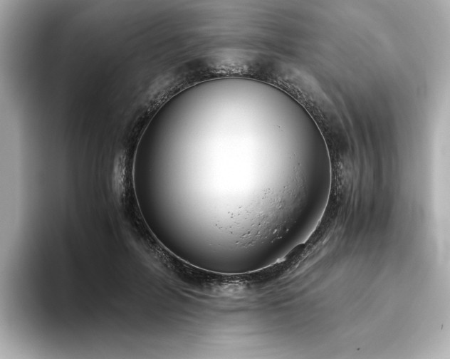 X0000093610600200710151240