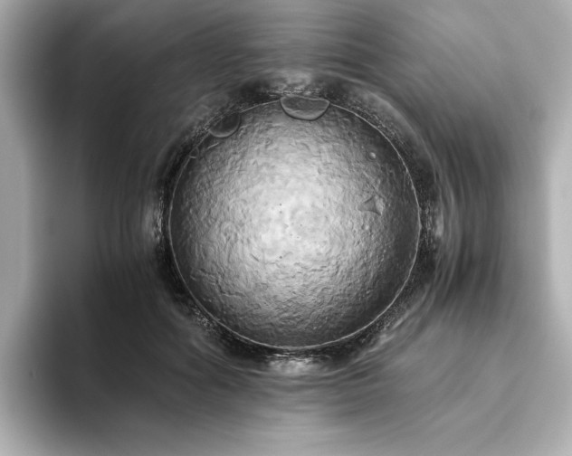X0000093610602200710151240