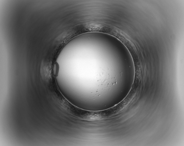 X0000093610604200710151240