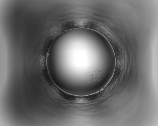 X0000093610605200710151240