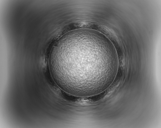 X0000093610607200710151240