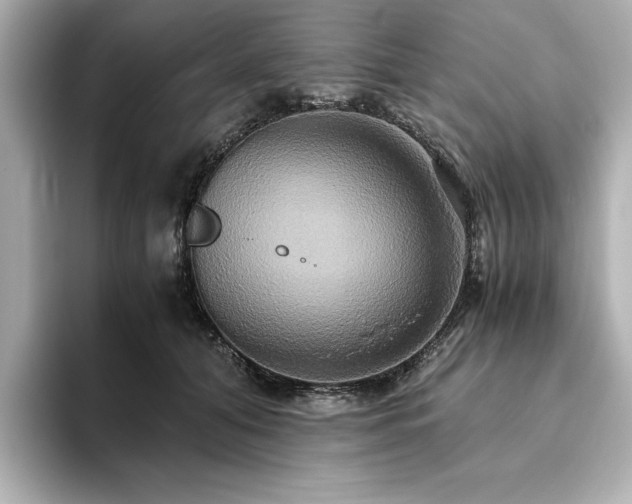 X0000093610608200710151240