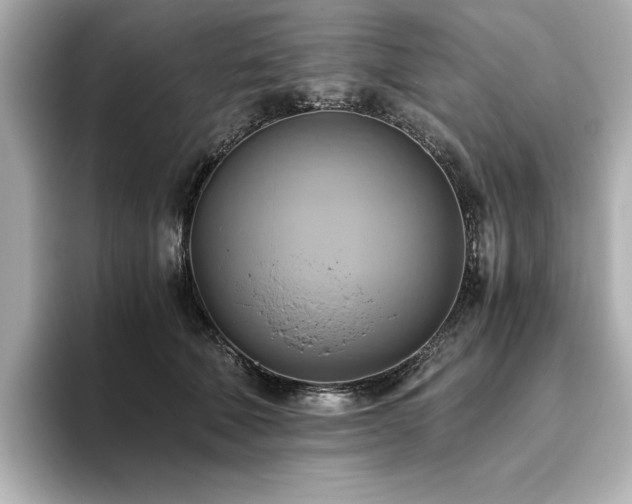 X0000093610610200710151240
