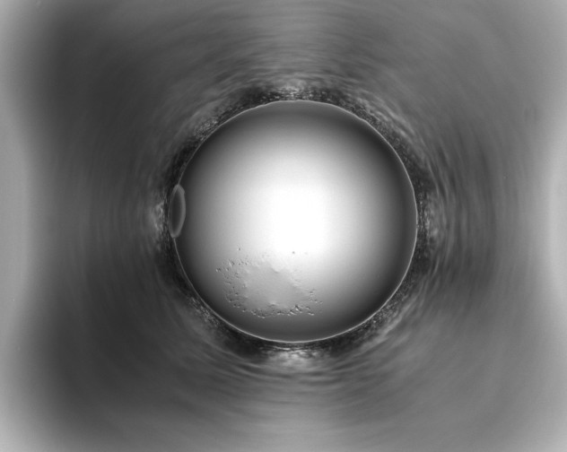 X0000093610611200710151240