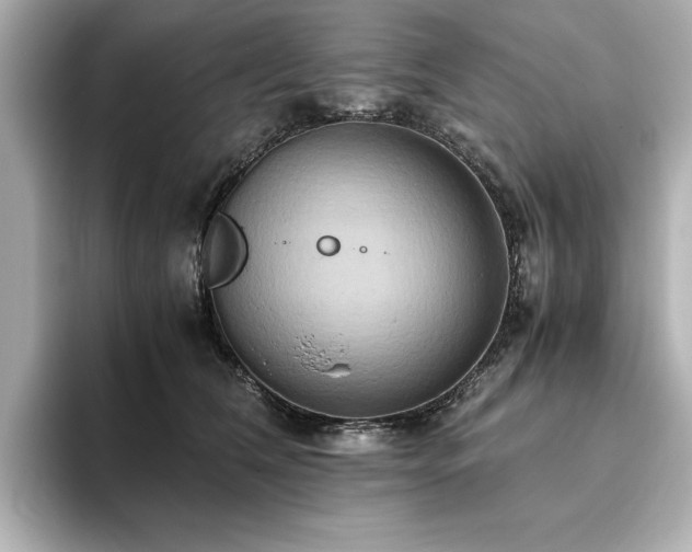 X0000093610612200710151240