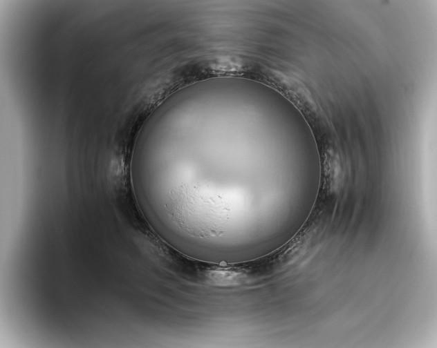 X0000093610614200710151240