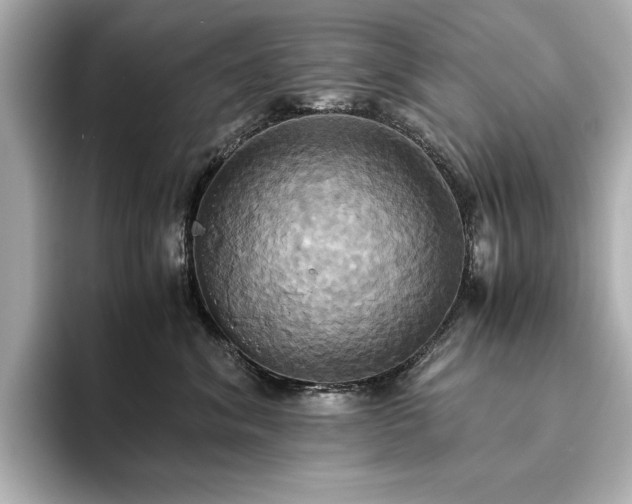 X0000093610620200710151240