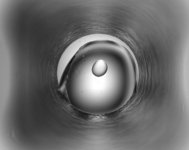 X0000093610621200710151240