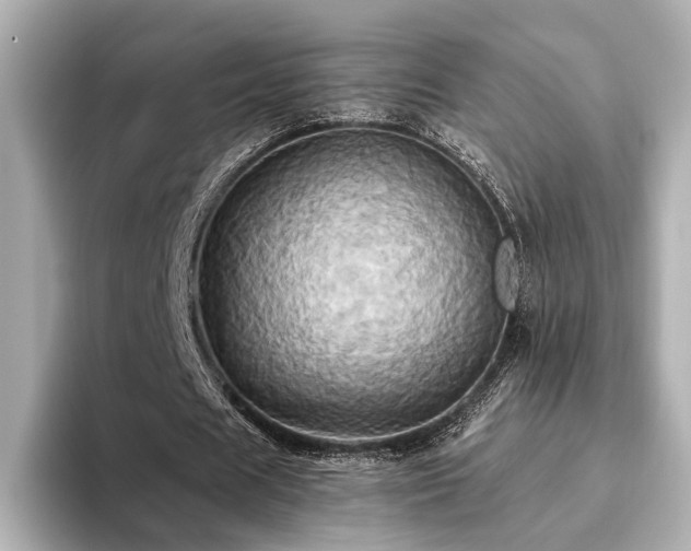 X0000093610625200710151240