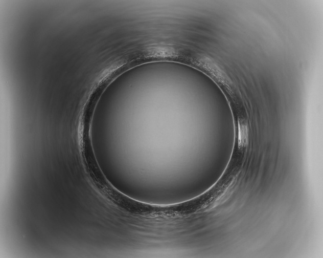 X0000093610627200710151240