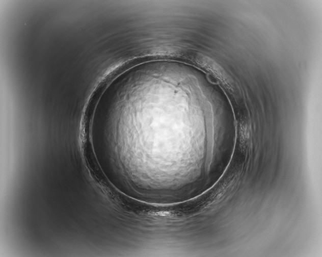 X0000093610628200710151240