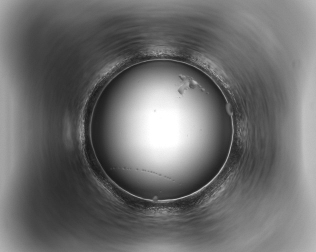 X0000093610629200710151240