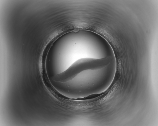 X0000093610630200710151240